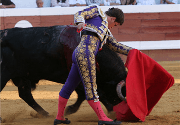 Dax, 8 de septiembre