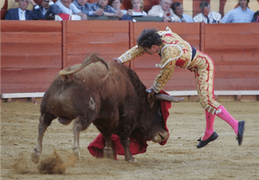 Gran estocada, pero varios fallos con el descabello deja la faena sin trofeos