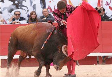 Arles, 13 de septiembre