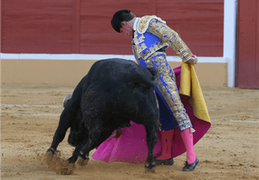 Aracena, 26 de agosto