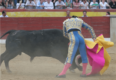 El Escorial, 10 de agosto