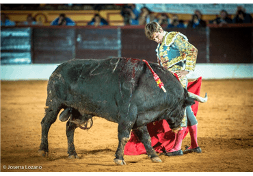 El Juli en Olivenza 2014. Fotos Joserra LOZANO