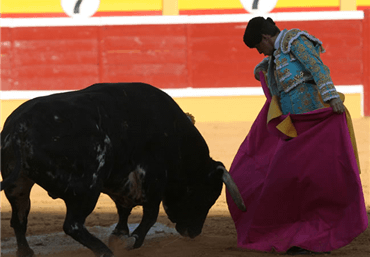 Tudela, 25 de julio