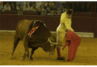 Circular de vuelta entera