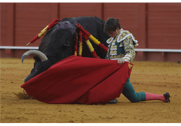 Fotos del indulto de Orgullito