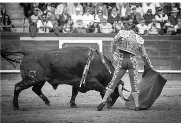 El Juli en Valencia, 19 de marzo 2014. Foto Joserra Lozano