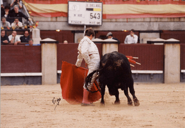Madrid, corrida de Beneficencia