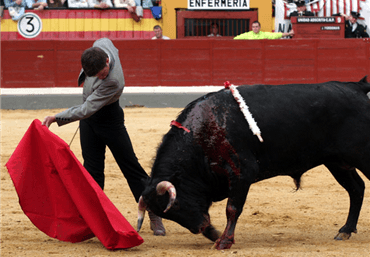 Jaén (festival), 29 de marzo