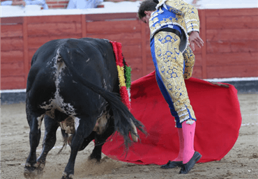 Sanse, 30 de agosto