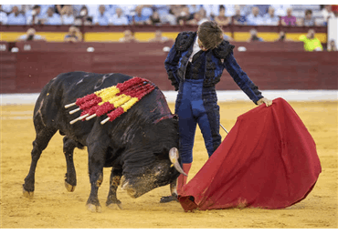 Fotos temporada 2018
