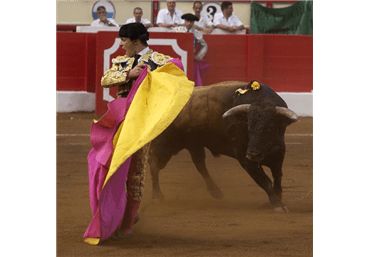...aclamadas