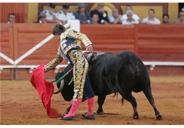 Con circulares completos