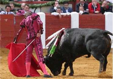 Valladolid, 11 de mayo