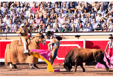 El Juli en Bilbao 2014. Fotos Lozano