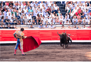 El Juli en Bilbao 2014. Fotos Lozano