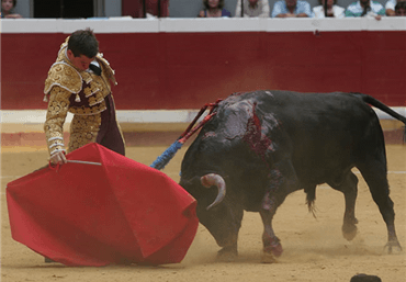 San sebastián, 12 de agosto