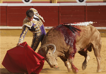 Tudela, 25 de julio