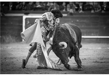 El Juli en Valencia, 19 de marzo 2014. Foto Joserra Lozano
