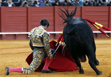 Fotos del indulto de Orgullito