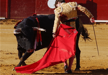 Torería en los remates