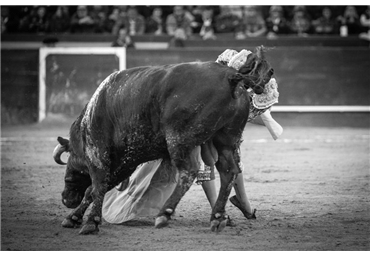 El Juli en Valencia, 19 de marzo 2014. Foto Joserra Lozano