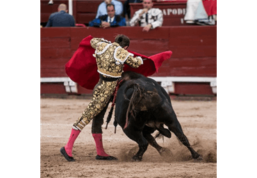 Fotos temporada 2019