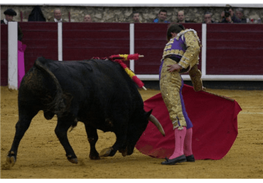 Largura, limpieza y...