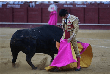 Precioso remate