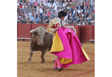 y Torería