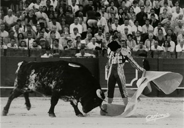Sevilla. Feria de San Miguel