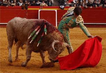 Metiéndole en el canasto...