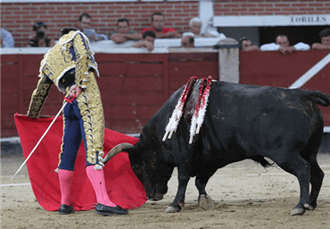 Sanse, 29 de agosto