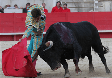 Nimes, 19 de septiembre