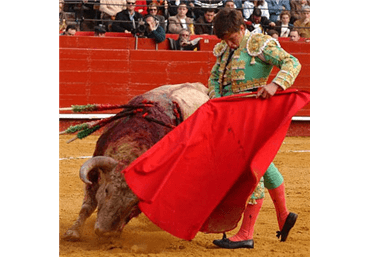 Y el mejor toreo