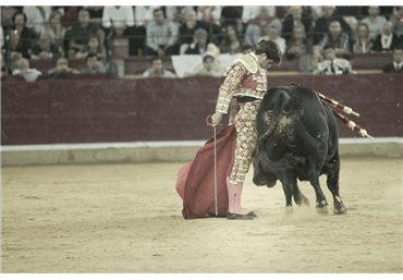 El Juli en Zaragoza 2014. Foto Alberto de Isidro