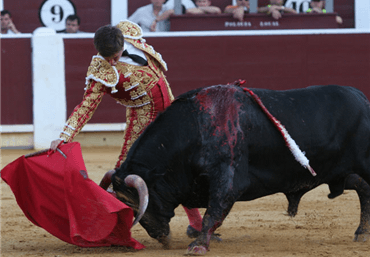 Albacete, 17 de septiembre