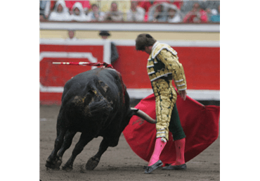 Bordando el toreo