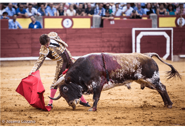 El Juli indulta a Golfo en Ciudad Real. Fotos Joserra Lozano