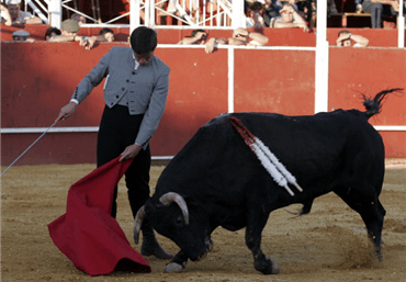 Álmonte, 2 de julio