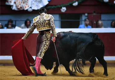 Fotos temporada 2018