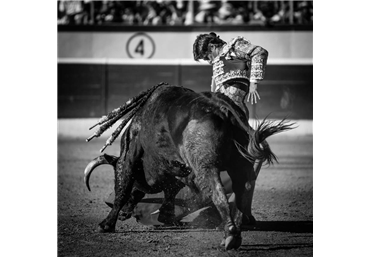 El Juli en Huesca 2014. Fotos Lozano