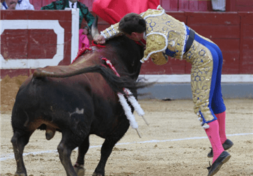 Jaén, 19 de octubre