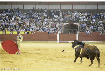 El Juli indulta a Golfo en Ciudad Real. Fotos Joserra Lozano