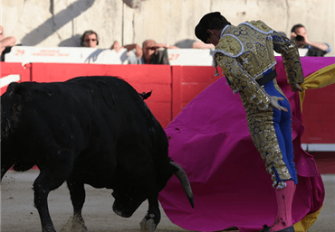 Nimes, 30 de mayo